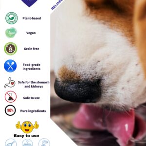 English infographic showing TEEF Vitae+ features and how to add it to drinking water