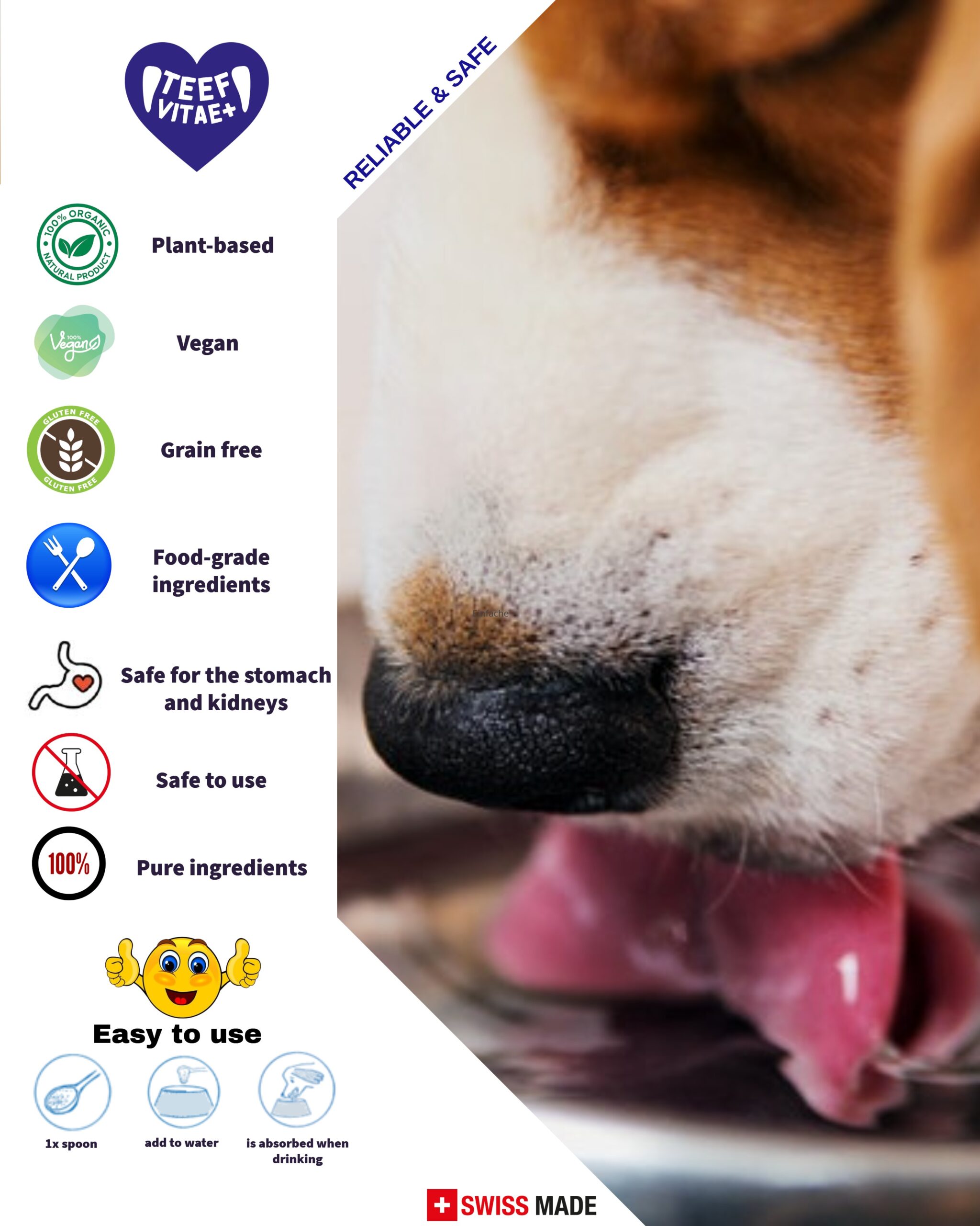English infographic showing TEEF Vitae+ features and how to add it to drinking water