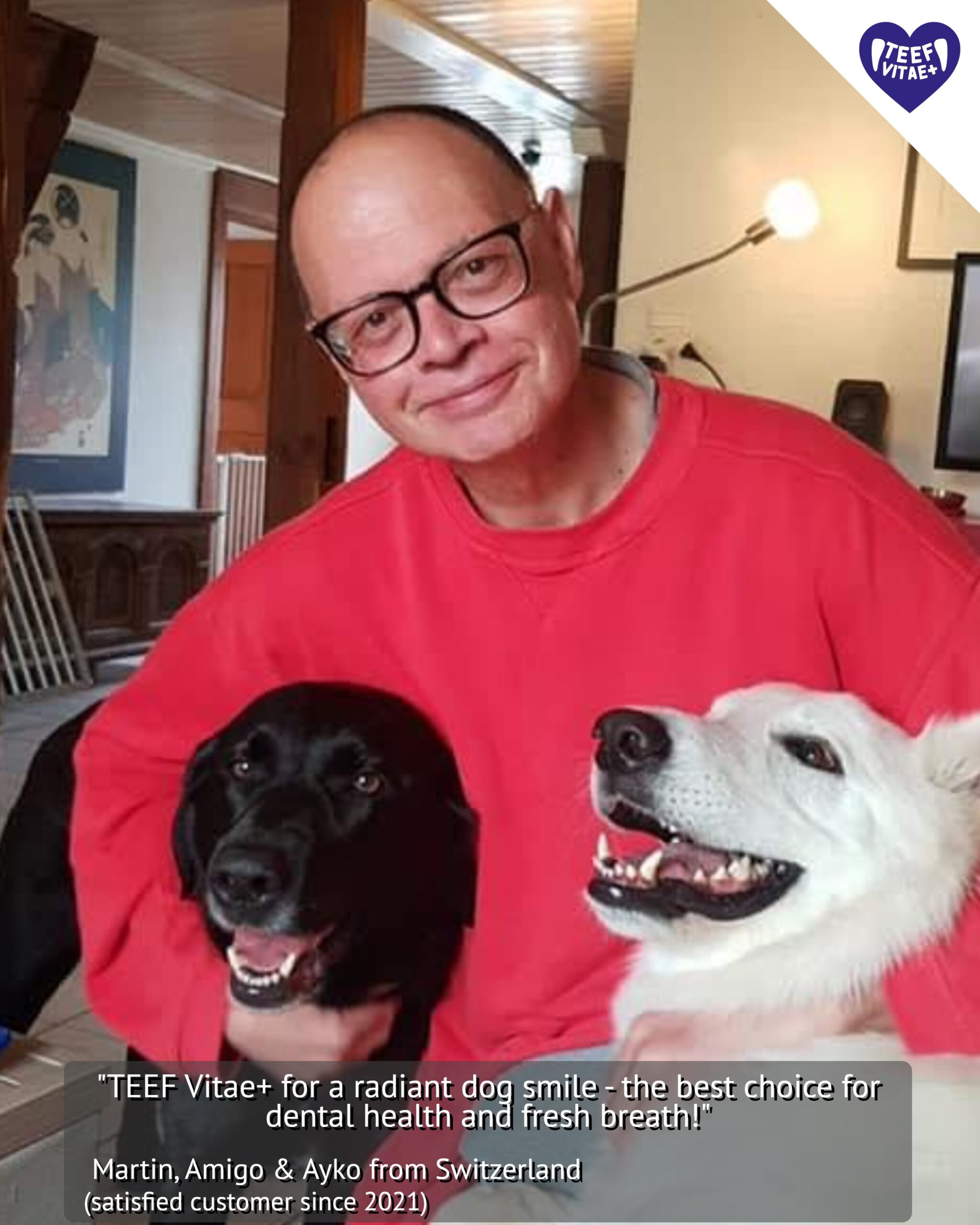 English customer testimonial by Martin with his two dogs