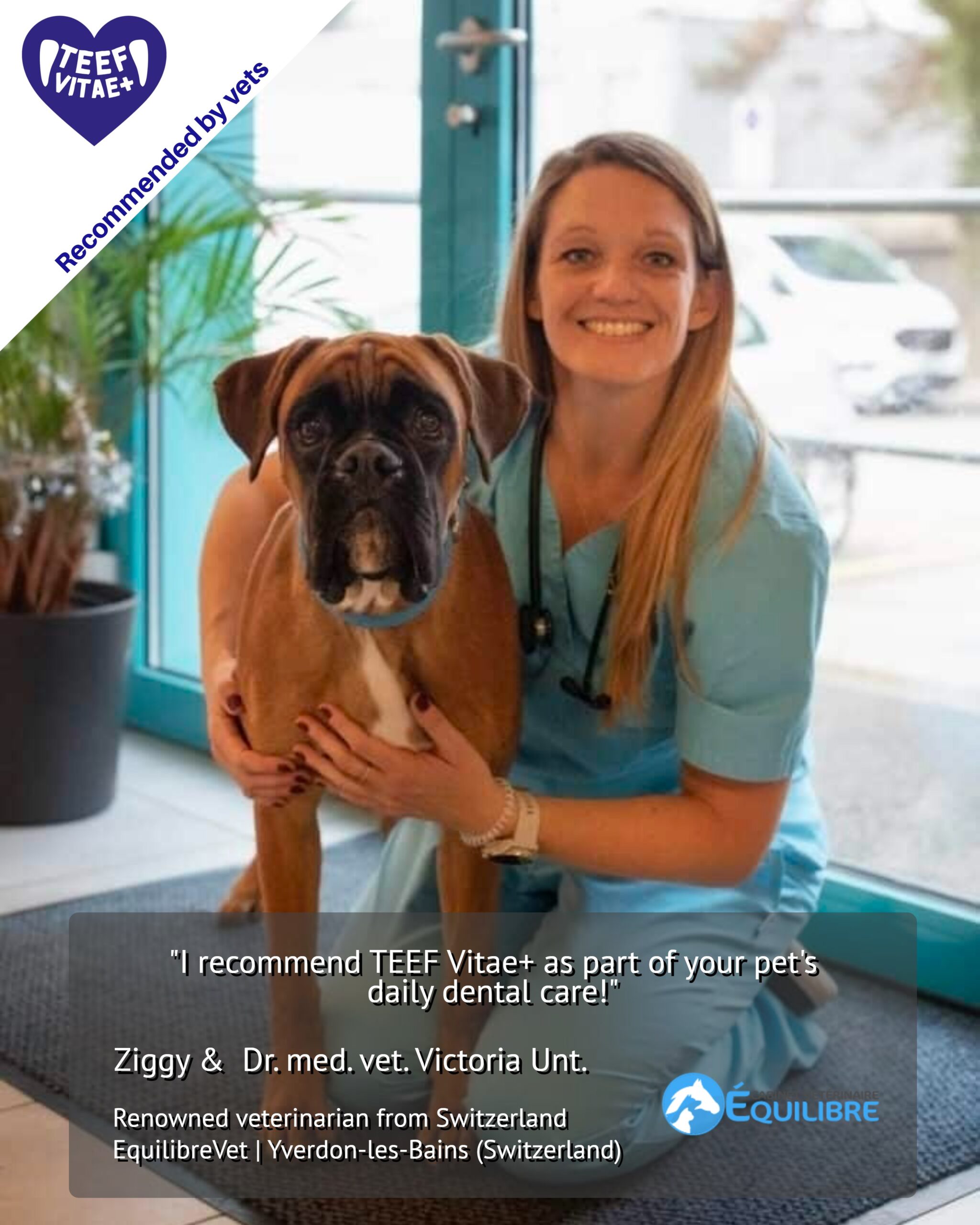 Veterinarian Victoria Unt. with a dog, recommending TEEF Vitae+ for daily dental care