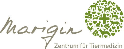 MARIGIN – Zentrum für Tiermedizin
