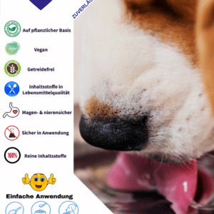 TEEF Vitae+® à mélanger aux repas 60 g – Précommande · Expédition dès le 15.11.2026 – Image 5